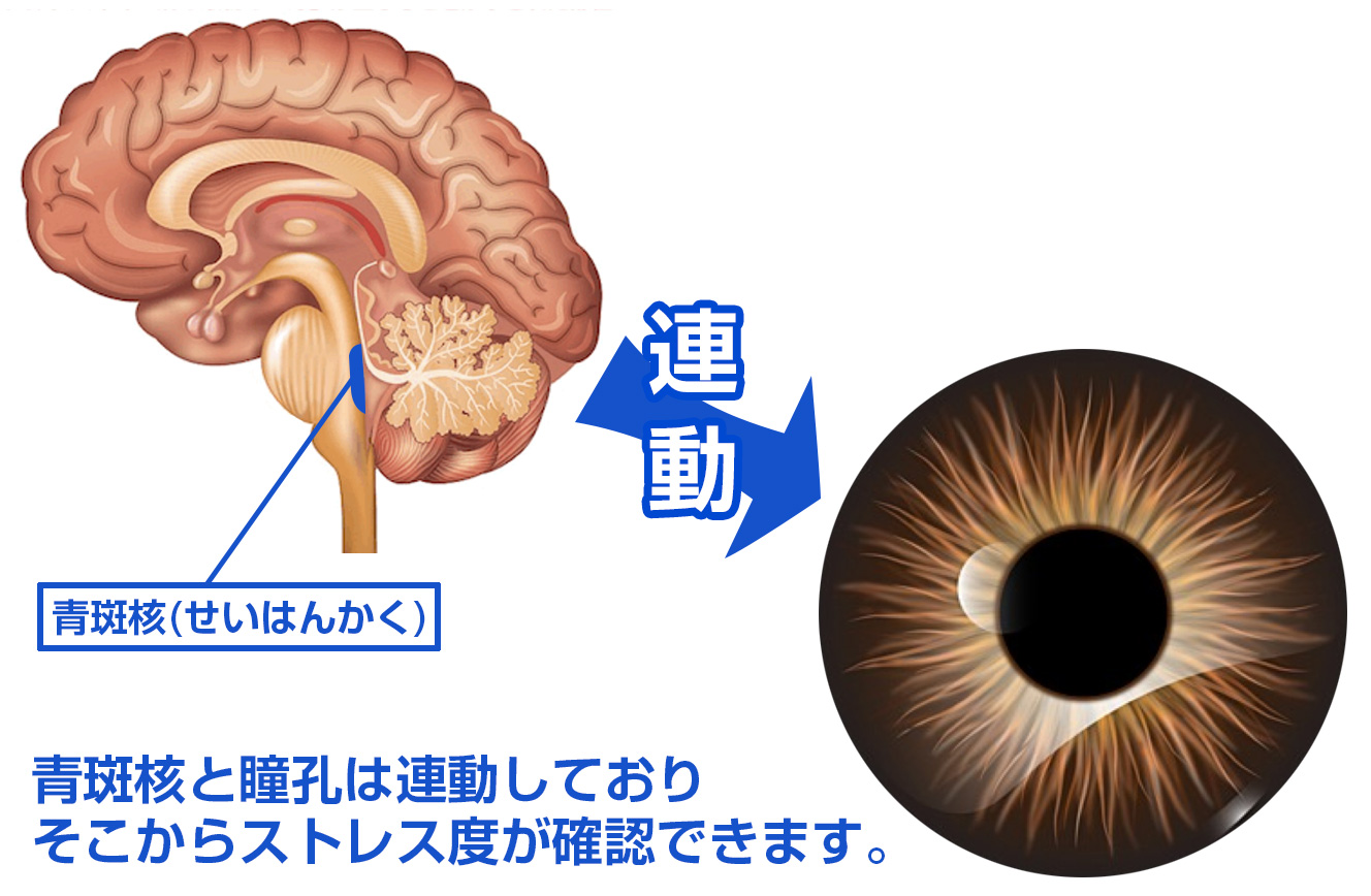 コンディショニング・メーターの仕組み